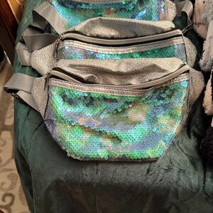Sequin Fanny Pack - Silver and Green
